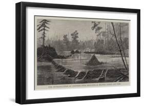 The Introduction of Beavers into England, a Beaver Lodge and Dam-null-Framed Premium Giclee Print