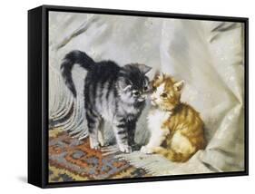 The Introduction: Silver and Ginger Kittens-Julius Adam-Framed Stretched Canvas