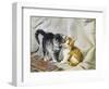 The Introduction: Silver and Ginger Kittens-Julius Adam-Framed Giclee Print
