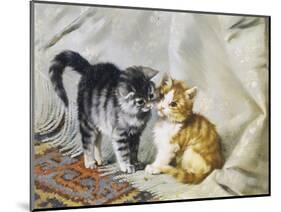 The Introduction: Silver and Ginger Kittens-Julius Adam-Mounted Giclee Print