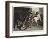 The Intruding Puppies-Edwin Landseer-Framed Giclee Print