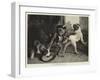 The Intruding Puppies-Edwin Landseer-Framed Giclee Print