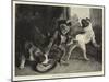 The Intruding Puppies-Edwin Landseer-Mounted Giclee Print