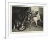 The Intruding Puppies-Edwin Landseer-Framed Giclee Print