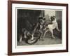 The Intruding Puppies-Edwin Landseer-Framed Giclee Print