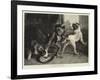 The Intruding Puppies-Edwin Landseer-Framed Giclee Print