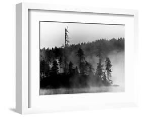 The Invisible-Sharon Wish-Framed Photographic Print