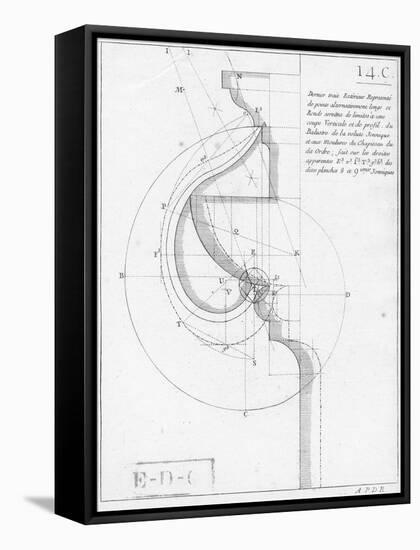 The Ionic Capital, Book on Geometry-null-Framed Stretched Canvas