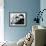 The Ipcress File-null-Framed Photo displayed on a wall