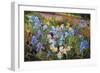 The Iris Bed, 1993-Timothy Easton-Framed Giclee Print