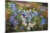 The Iris Bed, 1993-Timothy Easton-Mounted Giclee Print