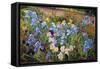 The Iris Bed, 1993-Timothy Easton-Framed Stretched Canvas