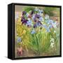 The Iris Bed, Bedfield, 1996-Timothy Easton-Framed Stretched Canvas