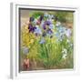 The Iris Bed, Bedfield, 1996-Timothy Easton-Framed Giclee Print