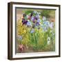 The Iris Bed, Bedfield, 1996-Timothy Easton-Framed Giclee Print