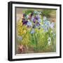 The Iris Bed, Bedfield, 1996-Timothy Easton-Framed Giclee Print