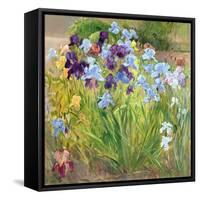 The Iris Bed, Bedfield, 1996-Timothy Easton-Framed Stretched Canvas
