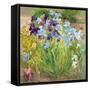 The Iris Bed, Bedfield, 1996-Timothy Easton-Framed Stretched Canvas