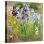 The Iris Bed, Bedfield, 1996-Timothy Easton-Stretched Canvas