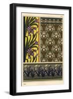 The iris in various patterns.-null-Framed Giclee Print