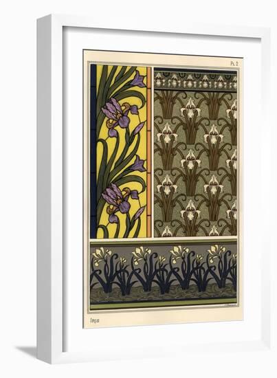 The iris in various patterns.-null-Framed Giclee Print