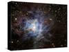 The Iris Nebula-Stocktrek Images-Stretched Canvas
