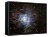 The Iris Nebula-Stocktrek Images-Framed Stretched Canvas