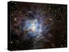 The Iris Nebula-Stocktrek Images-Stretched Canvas