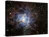 The Iris Nebula-Stocktrek Images-Stretched Canvas