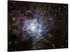 The Iris Nebula-Stocktrek Images-Stretched Canvas