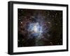 The Iris Nebula-Stocktrek Images-Framed Premium Photographic Print
