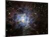 The Iris Nebula-Stocktrek Images-Mounted Premium Photographic Print