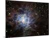 The Iris Nebula-Stocktrek Images-Mounted Photographic Print