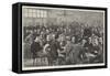 The Irish Parliamentary Party, 1886-null-Framed Stretched Canvas