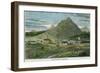 The Island of Ascension, C1880-null-Framed Giclee Print