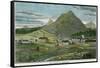 The Island of Ascension, C1880-null-Framed Stretched Canvas