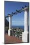 The Island of Capri, Campania, Italy, Mediterranean, Europe-Angelo Cavalli-Mounted Photographic Print