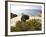 The Island of Spargi, Maddalena Islands, La Maddalena National Park, Sardinia, Italy, Mediterranean-Oliviero Olivieri-Framed Photographic Print