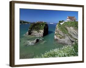 The Island off Towan Beach, Newquay, Cornwall, England, United Kingdom-Robert Francis-Framed Photographic Print