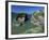 The Island off Towan Beach, Newquay, Cornwall, England, United Kingdom-Robert Francis-Framed Photographic Print