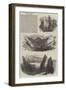 The Isle of Skye-Samuel Read-Framed Giclee Print