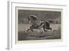 The Islington Horse Show, Trotting a Roadster-John Charlton-Framed Giclee Print