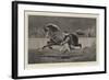 The Islington Horse Show, Trotting a Roadster-John Charlton-Framed Giclee Print