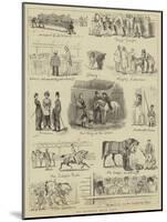 The Islington Horse Show-John Charles Dollman-Mounted Giclee Print