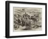 The Isthmus of Suez Maritime Canal, Workmen Loading Dromedaries-null-Framed Premium Giclee Print