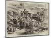 The Isthmus of Suez Maritime Canal, Workmen Loading Dromedaries-null-Mounted Premium Giclee Print