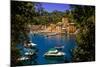 The Italian Fishing Village of Portofino, Liguria, Italy, Europe-Laura Grier-Mounted Photographic Print