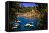 The Italian Fishing Village of Portofino, Liguria, Italy, Europe-Laura Grier-Framed Stretched Canvas