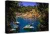 The Italian Fishing Village of Portofino, Liguria, Italy, Europe-Laura Grier-Stretched Canvas