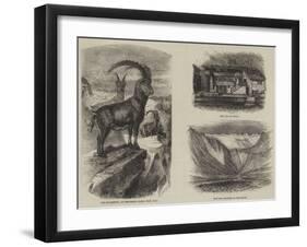 The Italian Valleys of the Pennine Alps-null-Framed Giclee Print